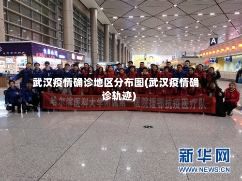 武汉疫情确诊地区分布图(武汉疫情确诊轨迹)-第2张图片