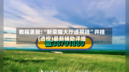 教程更新!“新荣耀大厅透视挂”开挂(透视)最新辅助详细-第2张图片