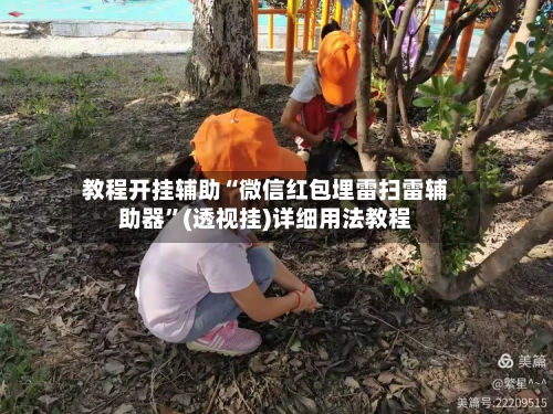 教程开挂辅助“微信红包埋雷扫雷辅助器”(透视挂)详细用法教程-第3张图片