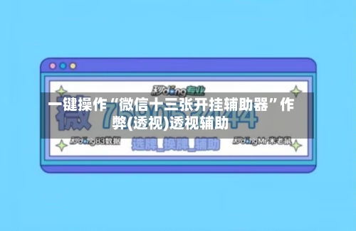 一键操作“微信十三张开挂辅助器”作弊(透视)透视辅助-第3张图片
