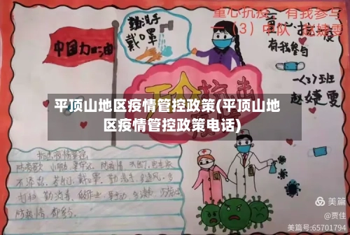 平顶山地区疫情管控政策(平顶山地区疫情管控政策电话)-第2张图片