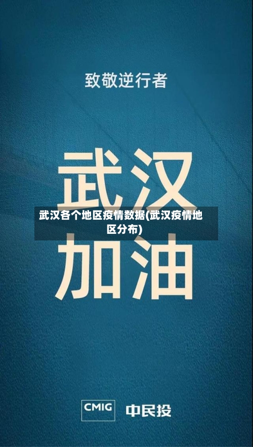 武汉各个地区疫情数据(武汉疫情地区分布)