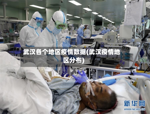 武汉各个地区疫情数据(武汉疫情地区分布)-第3张图片