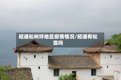 昭通松树坪地区疫情情况/昭通有松露吗-第2张图片