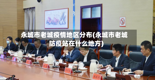 永城市老城疫情地区分布(永城市老城防疫站在什么地方)-第2张图片