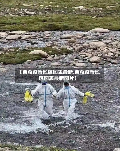 【西藏疫情地区图表最新,西藏疫情地区图表最新图片】