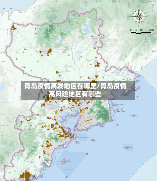 青岛疫情高发地区在哪里/青岛疫情高风险地区有哪些