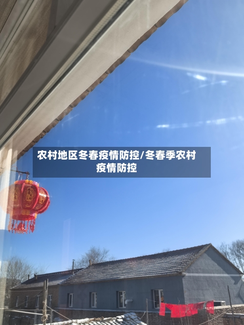 农村地区冬春疫情防控/冬春季农村疫情防控