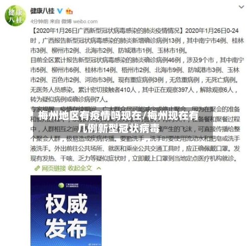梅州地区有疫情吗现在/梅州现在有几例新型冠状病毒-第2张图片