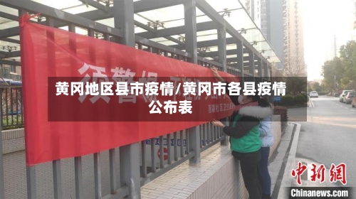 黄冈地区县市疫情/黄冈市各县疫情公布表-第3张图片