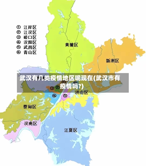 武汉有几类疫情地区呢现在(武汉市有疫情吗?)