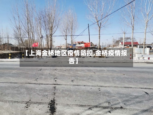 【上海金桥地区疫情防控,金桥疫情报告】-第3张图片