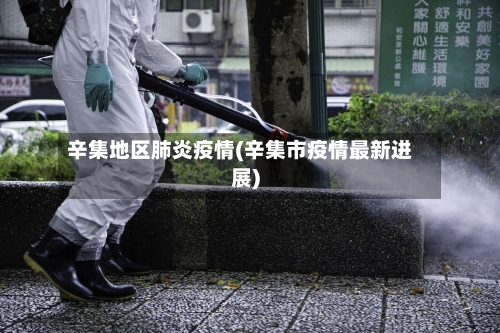 辛集地区肺炎疫情(辛集市疫情最新进展)-第3张图片