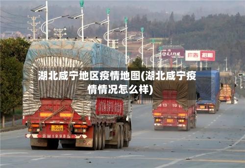 湖北咸宁地区疫情地图(湖北咸宁疫情情况怎么样)