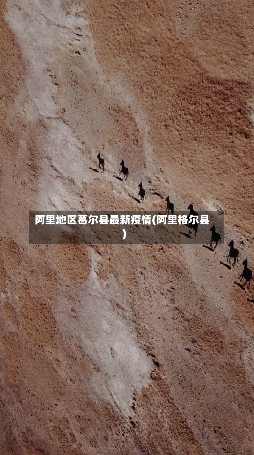 阿里地区葛尔县最新疫情(阿里格尔县)