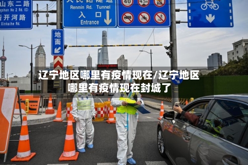 辽宁地区哪里有疫情现在/辽宁地区哪里有疫情现在封城了-第3张图片