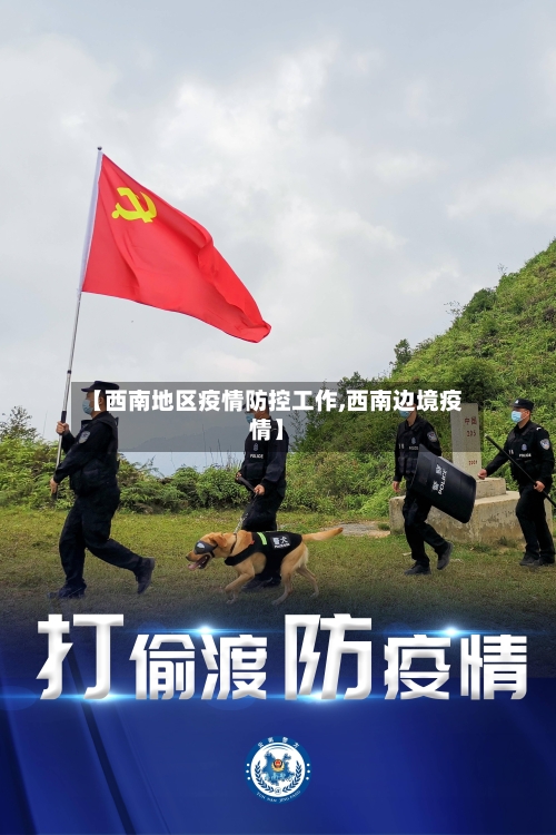 【西南地区疫情防控工作,西南边境疫情】