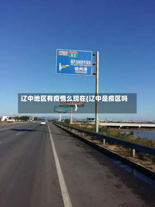 辽中地区有疫情么现在(辽中是疫区吗)