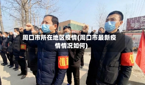 周口市所在地区疫情(周口市最新疫情情况如何)-第3张图片