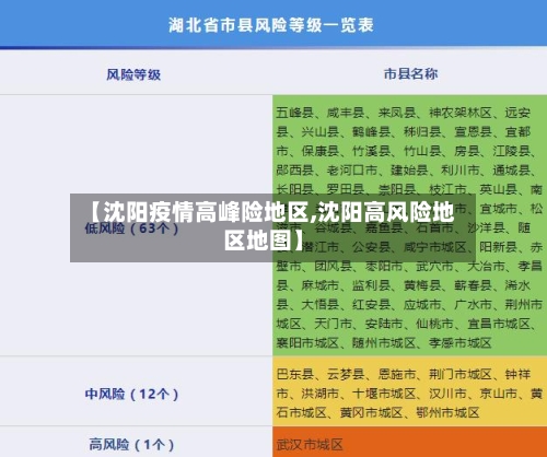【沈阳疫情高峰险地区,沈阳高风险地区地图】-第3张图片