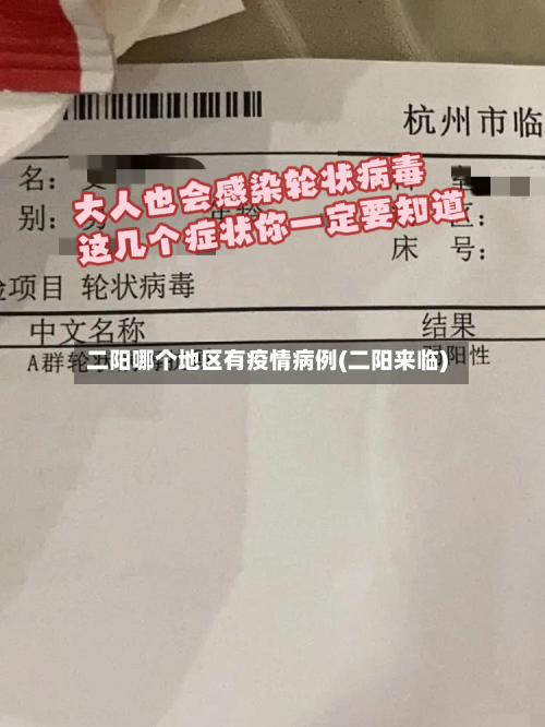 二阳哪个地区有疫情病例(二阳来临)