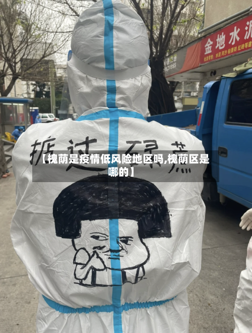 【槐荫是疫情低风险地区吗,槐荫区是哪的】