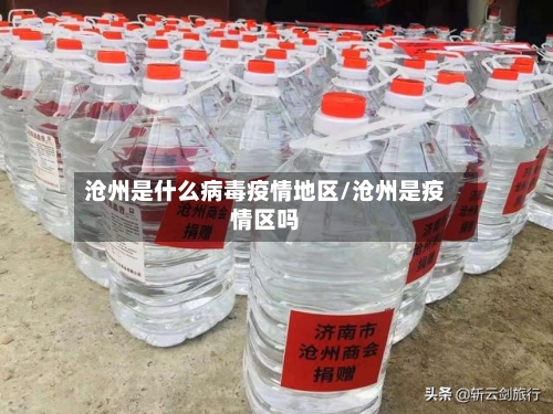 沧州是什么病毒疫情地区/沧州是疫情区吗-第3张图片