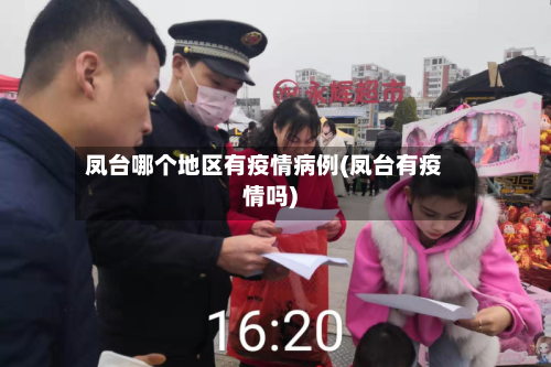 凤台哪个地区有疫情病例(凤台有疫情吗)-第2张图片