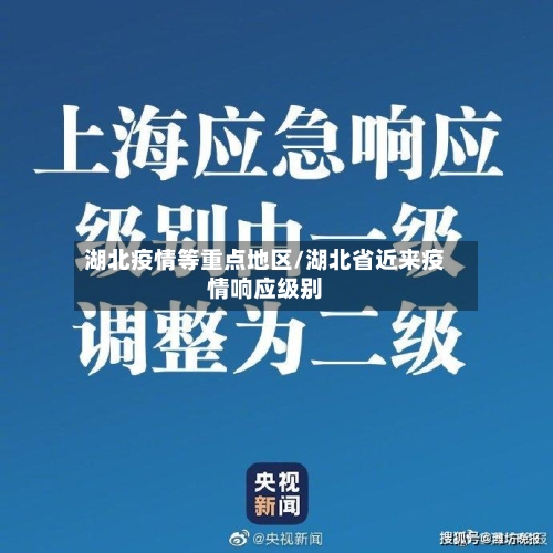 湖北疫情等重点地区/湖北省近来疫情响应级别-第2张图片