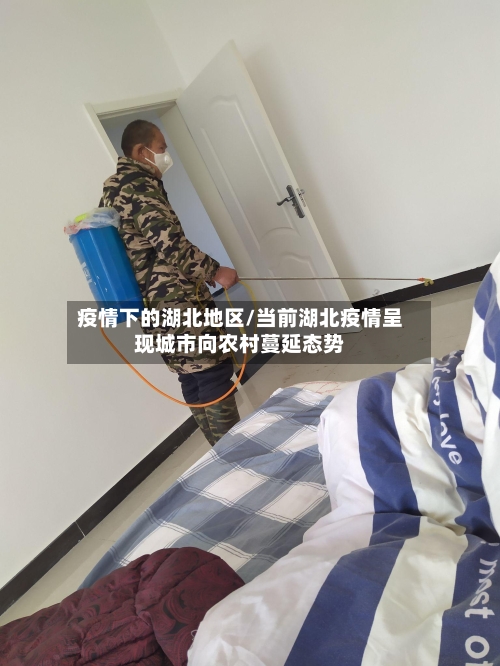 疫情下的湖北地区/当前湖北疫情呈现城市向农村蔓延态势