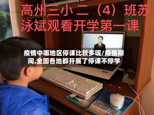 疫情中哪地区停课比较多呢/疫情期间,全国各地都开展了停课不停学