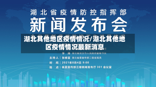 湖北其他地区疫情情况/湖北其他地区疫情情况最新消息