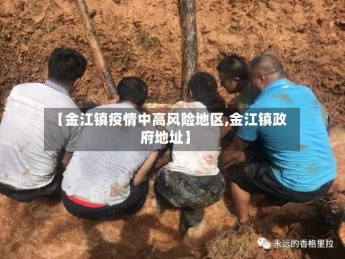 【金江镇疫情中高风险地区,金江镇政府地址】-第2张图片