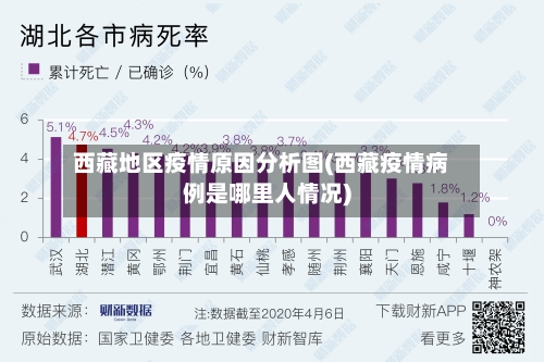 西藏地区疫情原因分析图(西藏疫情病例是哪里人情况)-第2张图片