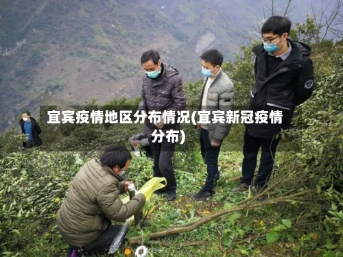 宜宾疫情地区分布情况(宜宾新冠疫情分布)-第3张图片