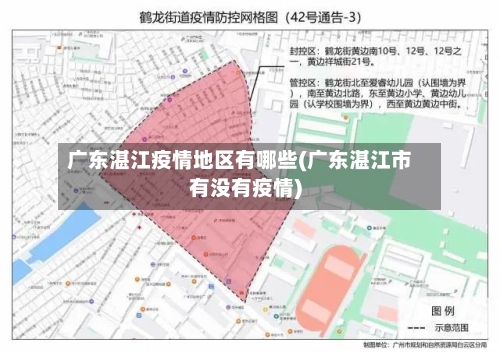 广东湛江疫情地区有哪些(广东湛江市有没有疫情)