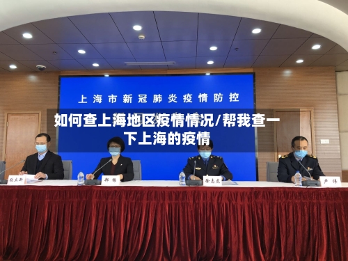 如何查上海地区疫情情况/帮我查一下上海的疫情
