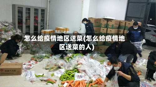 怎么给疫情地区送菜(怎么给疫情地区送菜的人)
