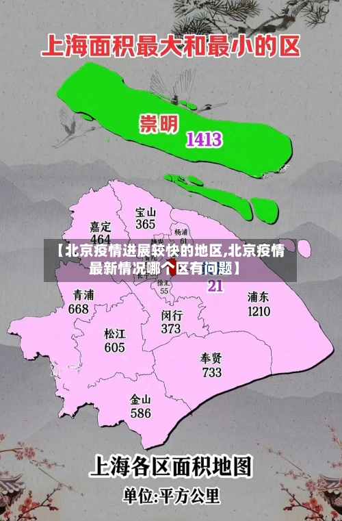 【北京疫情进展较快的地区,北京疫情最新情况哪个区有问题】
