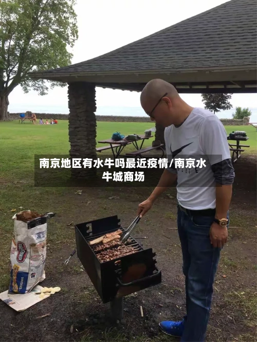 南京地区有水牛吗最近疫情/南京水牛城商场-第2张图片