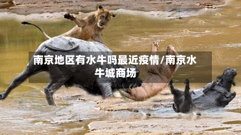 南京地区有水牛吗最近疫情/南京水牛城商场