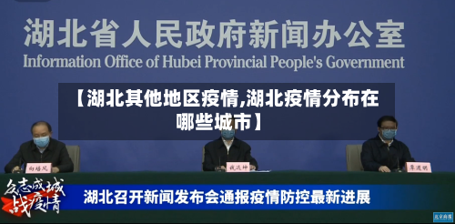 【湖北其他地区疫情,湖北疫情分布在哪些城市】