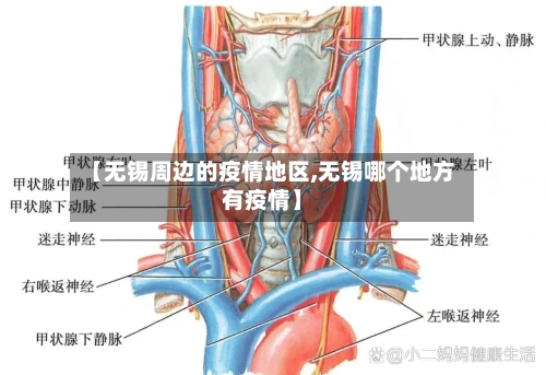 【无锡周边的疫情地区,无锡哪个地方有疫情】-第2张图片