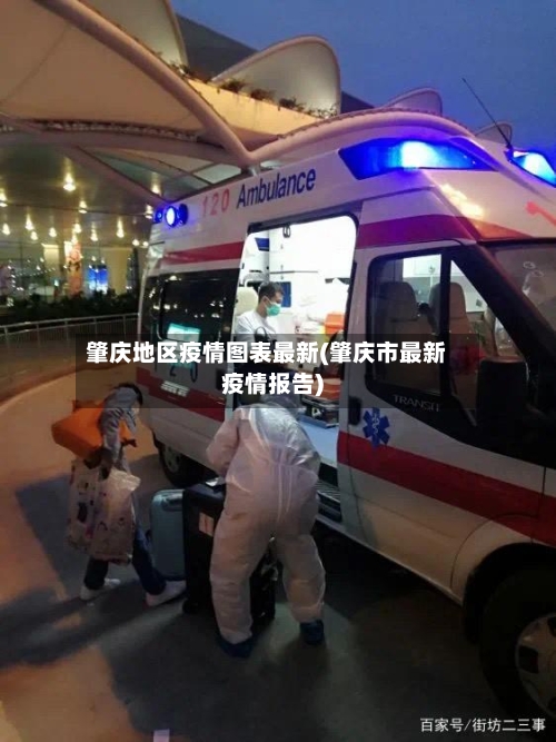 肇庆地区疫情图表最新(肇庆市最新疫情报告)-第2张图片