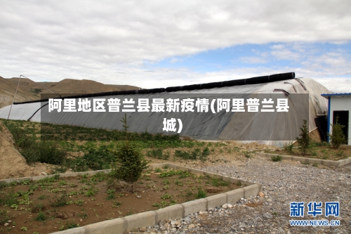 阿里地区普兰县最新疫情(阿里普兰县城)