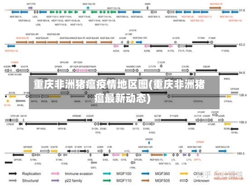 重庆非洲猪瘟疫情地区图(重庆非洲猪瘟最新动态)