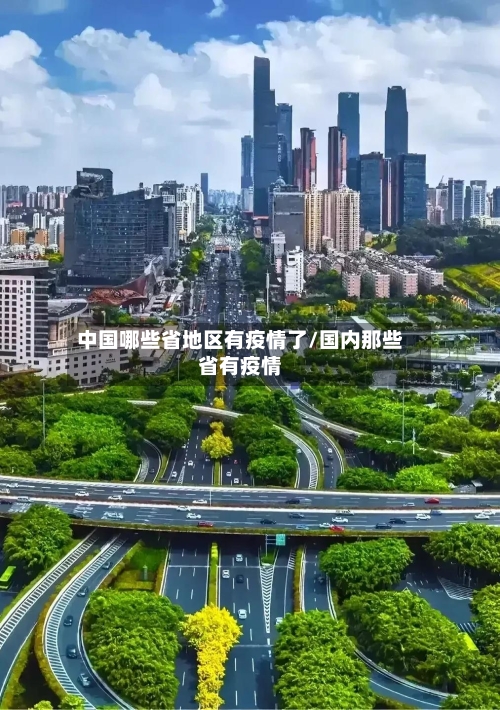 中国哪些省地区有疫情了/国内那些省有疫情