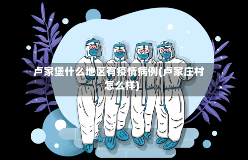 卢家堡什么地区有疫情病例(卢家庄村怎么样)