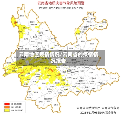 云南地区疫情情况/云南省的疫情情况报告