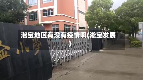 淞宝地区有没有疫情啊(淞宝发展)-第3张图片